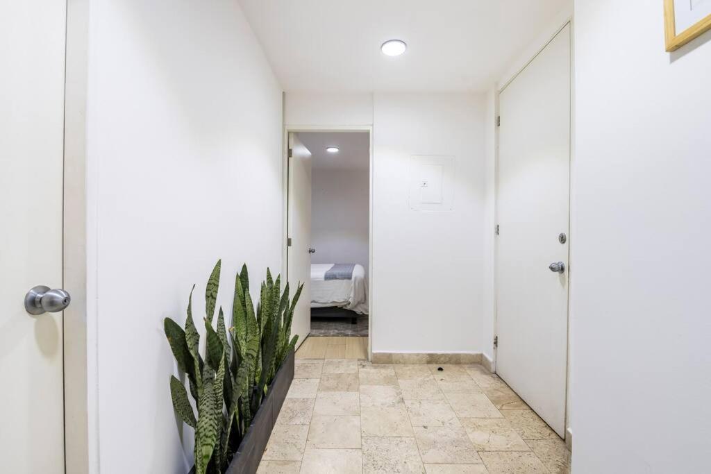 Loft Donceles 6 Cdmx! Apartment เม็กซิโกซิตี้ ภายนอก รูปภาพ